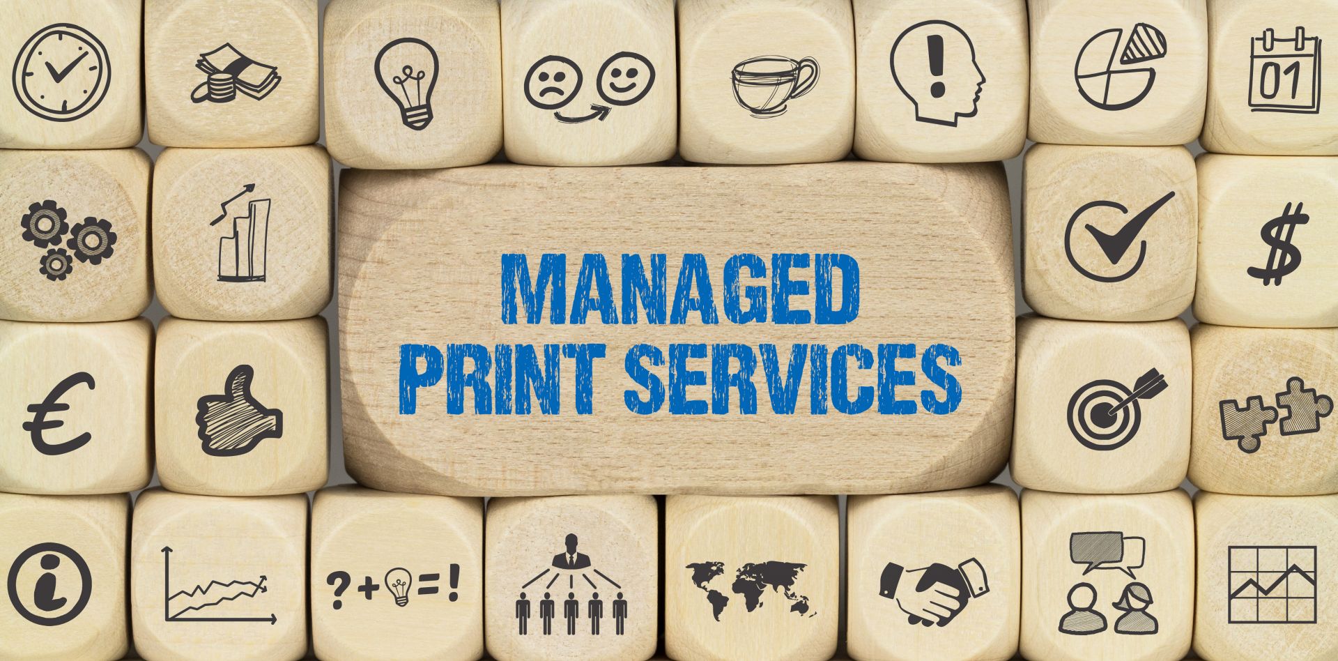 Managed [print solutions and services for Carlisle Businesses
